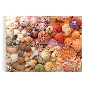 Vibrant Seashells Puzzle (1,000 pieces)