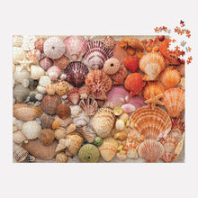 Load image into Gallery viewer, Vibrant Seashells Puzzle (1,000 pieces)