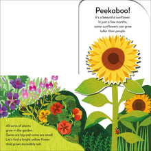 Load image into Gallery viewer, Pop-Up Peekaboo! Garden