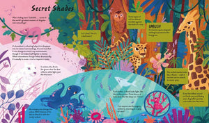 The Stories and Secrets of Colors