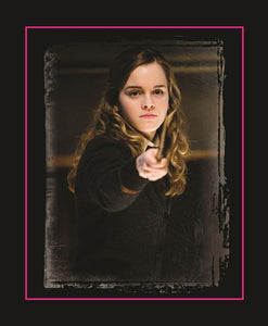 Harry Potter: Hermione's Wand with Sticker Kit: Lights Up!