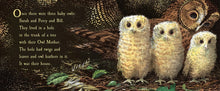 Load image into Gallery viewer, Owl Babies (Lap Board Book)