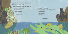 Load image into Gallery viewer, The Tide Pool Waits