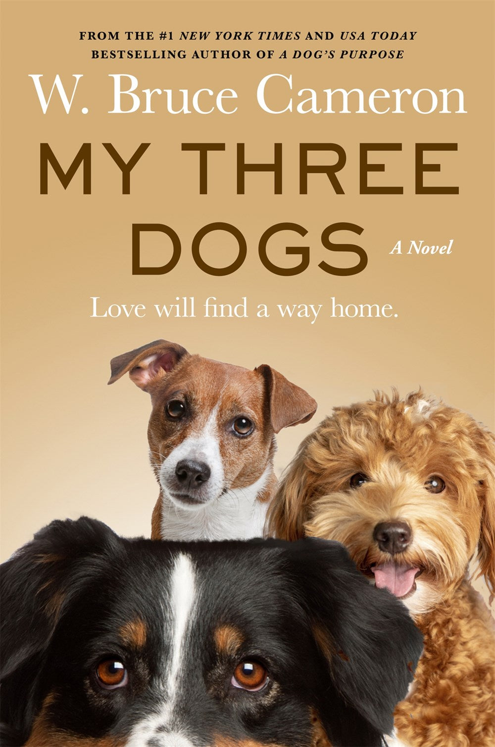 My Three Dogs: A Novel