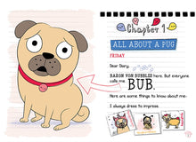 Load image into Gallery viewer, Scaredy-Pug