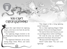 Load image into Gallery viewer, Night of the Dream Dragon (Dragon Masters #28)