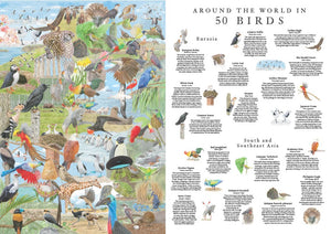 Around the World in 50 Birds Puzzle (1000 pieces)