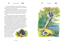 Load image into Gallery viewer, The Wind in the Willows