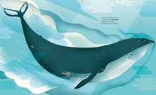 Load image into Gallery viewer, Deep in the Ocean: A Seek-and-Find Adventure
