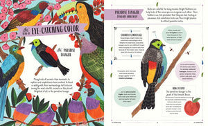 Fly: A Family Guide to Birds and How to Spot Them