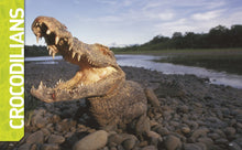 Load image into Gallery viewer, Ultimate Reptileopedia