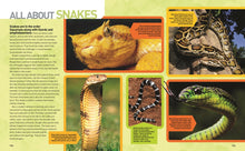 Load image into Gallery viewer, Ultimate Reptileopedia