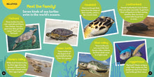 Load image into Gallery viewer, Go Wild! Sea Turtles