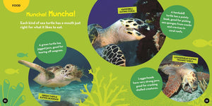 Go Wild! Sea Turtles