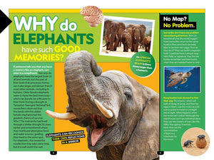 Why? Animals