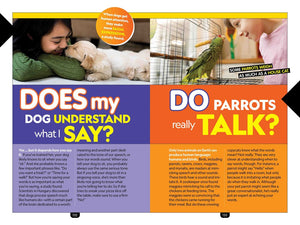 Why? Animals