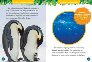 5-Minute Baby Animal Stories