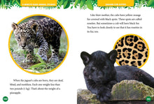 Load image into Gallery viewer, 5-Minute Baby Animal Stories