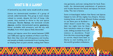 Load image into Gallery viewer, Hug a Llama Kit (Book + Plush)
