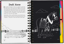 Load image into Gallery viewer, Scratch &amp; Sketch Horses