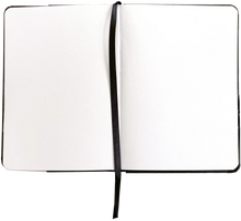 Load image into Gallery viewer, Studio Series Field Sketchbook