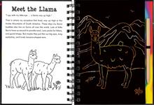 Load image into Gallery viewer, Scratch &amp; Sketch Llamas and Friends