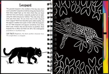 Load image into Gallery viewer, Scratch &amp; Sketch Wild Cats