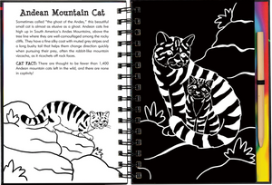 Scratch & Sketch Wild Cats