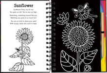 Load image into Gallery viewer, Scratch &amp; Sketch Garden Fairies