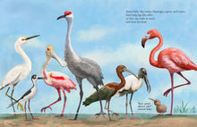 Load image into Gallery viewer, All the Birds in the World