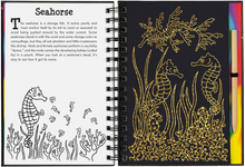 Load image into Gallery viewer, Scratch &amp; Sketch Coral Reefs