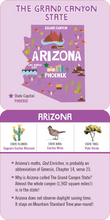 Load image into Gallery viewer, USA Lunch Box Notes for Kids! (Set of 50 Cards)