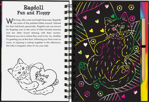 Scratch & Sketch Kittens