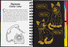 Load image into Gallery viewer, Scratch &amp; Sketch Kittens