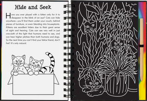 Scratch & Sketch Kittens