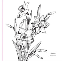 Load image into Gallery viewer, Spring Blooms (Artist&#39;s Coloring Book)