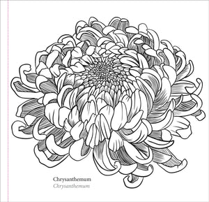 Spring Blooms (Artist's Coloring Book)