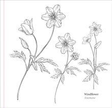 Load image into Gallery viewer, Spring Blooms (Artist&#39;s Coloring Book)