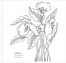 Load image into Gallery viewer, Spring Blooms (Artist&#39;s Coloring Book)