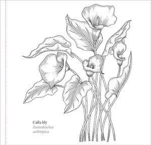 Spring Blooms (Artist's Coloring Book)
