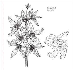 Spring Blooms (Artist's Coloring Book)