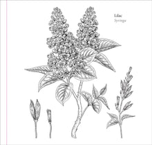 Load image into Gallery viewer, Spring Blooms (Artist&#39;s Coloring Book)