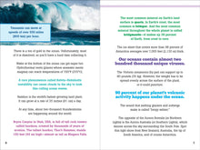 Load image into Gallery viewer, The Big Book of Useless Facts