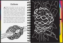 Load image into Gallery viewer, Scratch &amp; Sketch Reptiles &amp; Amphibians