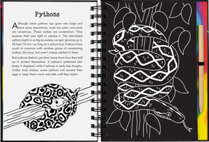Scratch & Sketch Reptiles & Amphibians