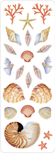Load image into Gallery viewer, Seashells Sticker Set