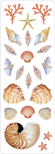 Seashells Sticker Set
