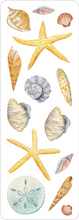 Load image into Gallery viewer, Seashells Sticker Set
