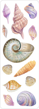 Load image into Gallery viewer, Seashells Sticker Set