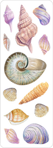 Seashells Sticker Set